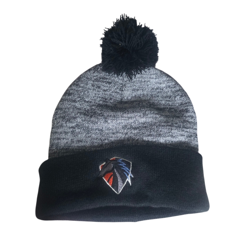 Charlotte Knights Black and Gray Pom-Pom Beanie